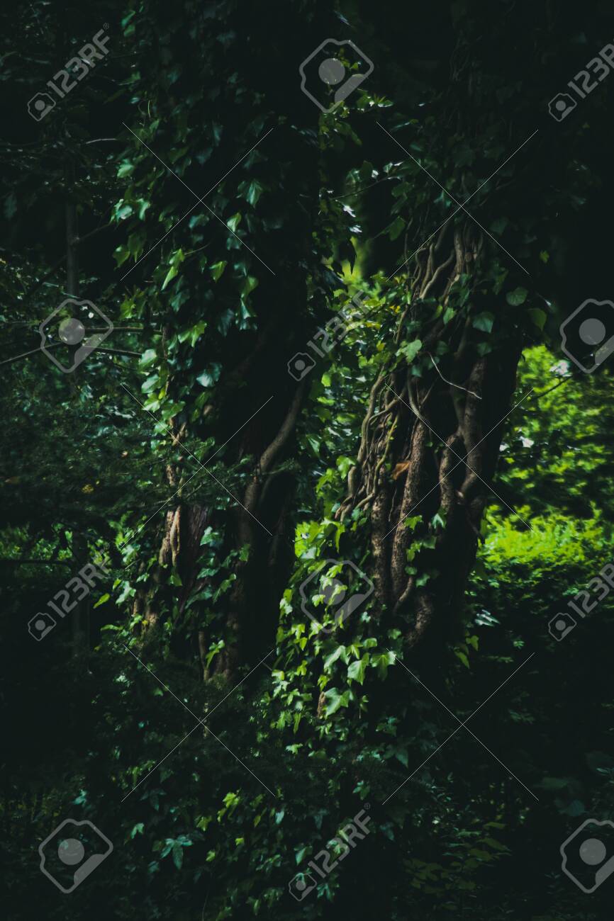 etiam-dictum-ipsum-a-felis