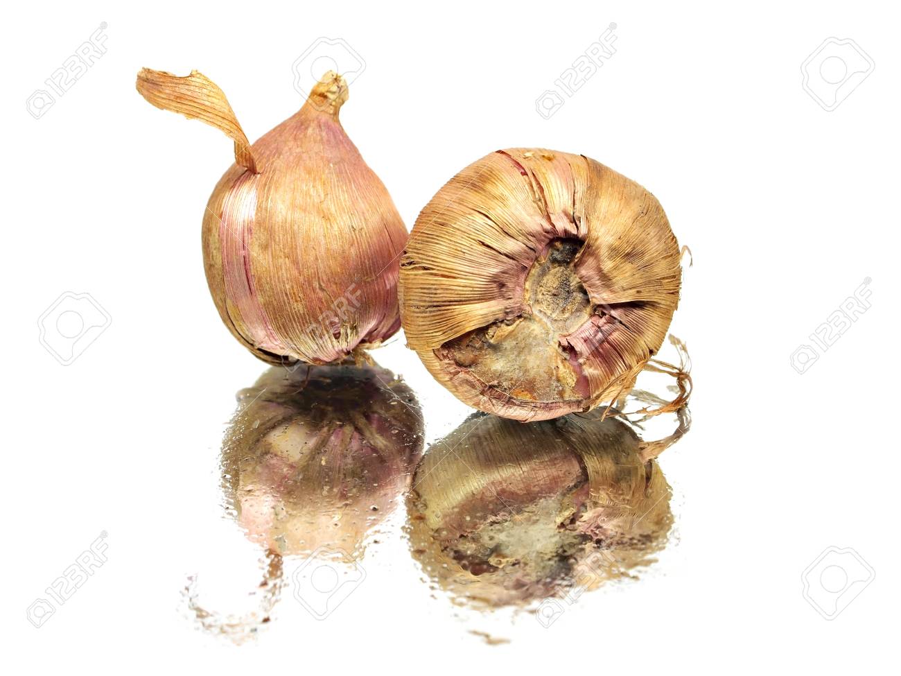 水で白い背景にグラジオラスの花球根を削除します の写真素材 画像素材 Image