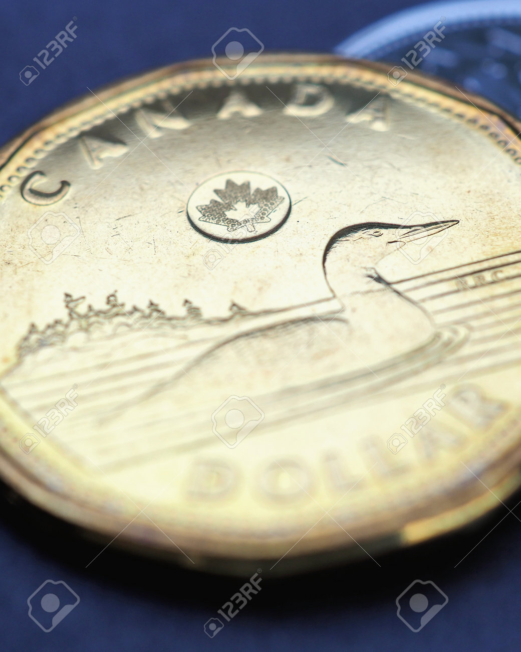 1カナダドル。テクスチャーのあるコインの接写。経済学や銀行業をテーマにした縦書きの物語。コインとお金カナダ。為替レートまたはインフレに関するニュースの写真素材・画像素材  Image 192997077