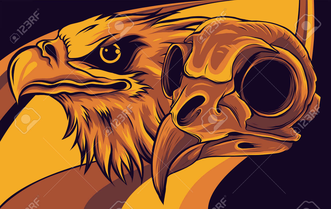 猛禽　頭骨　ワシ　タカ 猛禽 頭骨 ワシ タカ 【公式通販】