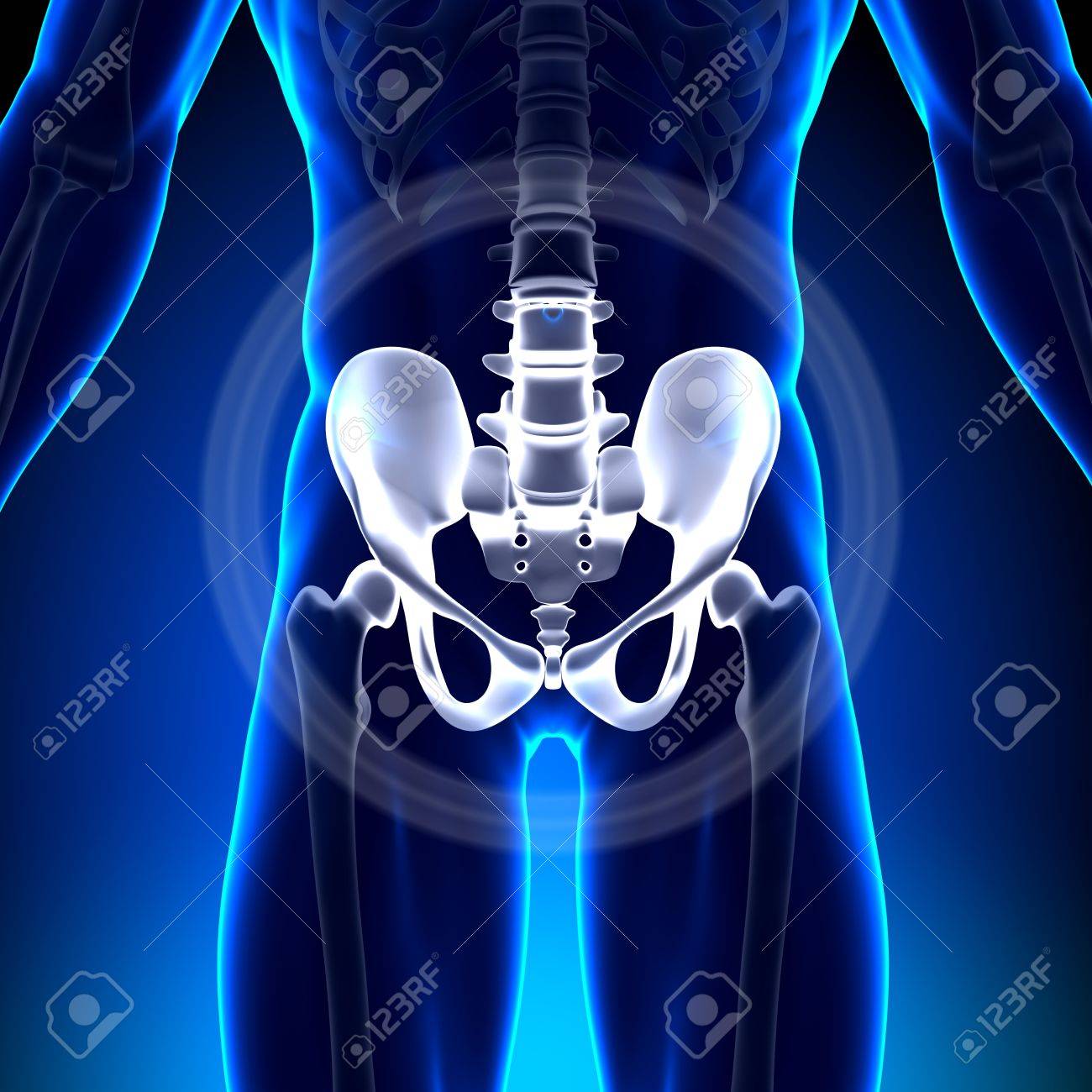 dolor entre la cadera y el pubis dolor entre la cadera y el pubis