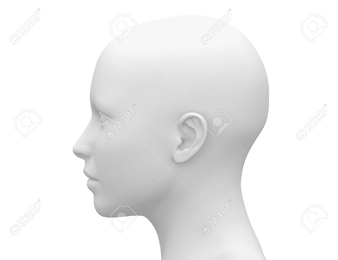 Blank White Female Head - Side View Stock Photo, Picture and Royalty Free  Image. Image 28997943., image size:1300x1000