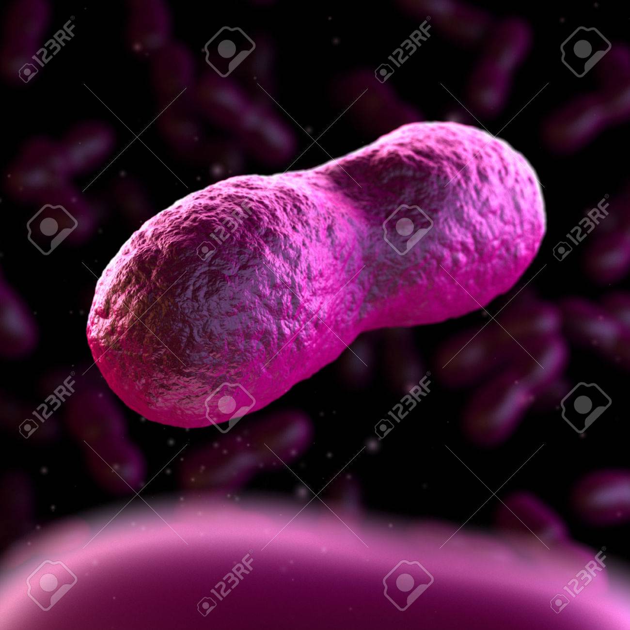 黒死病 - ペスト の写真素材・画像素材. Image 30478017.