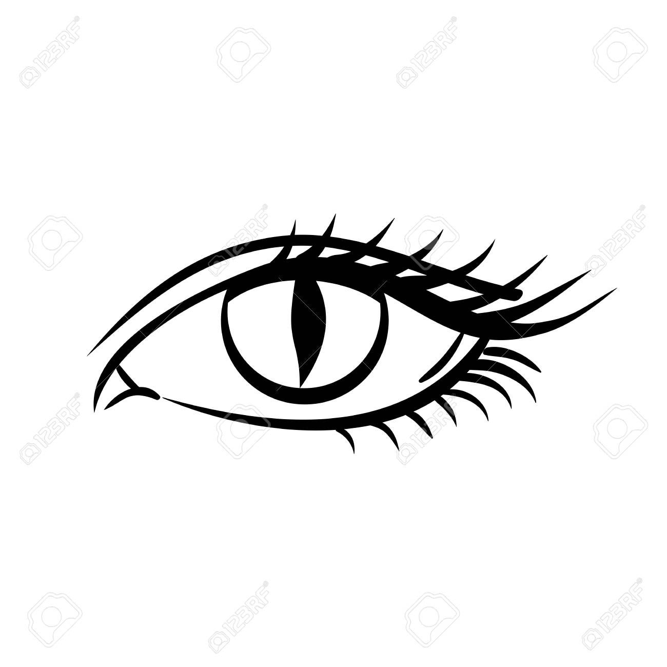 Eye On White Background Makeup On Halloween Woman Eye The