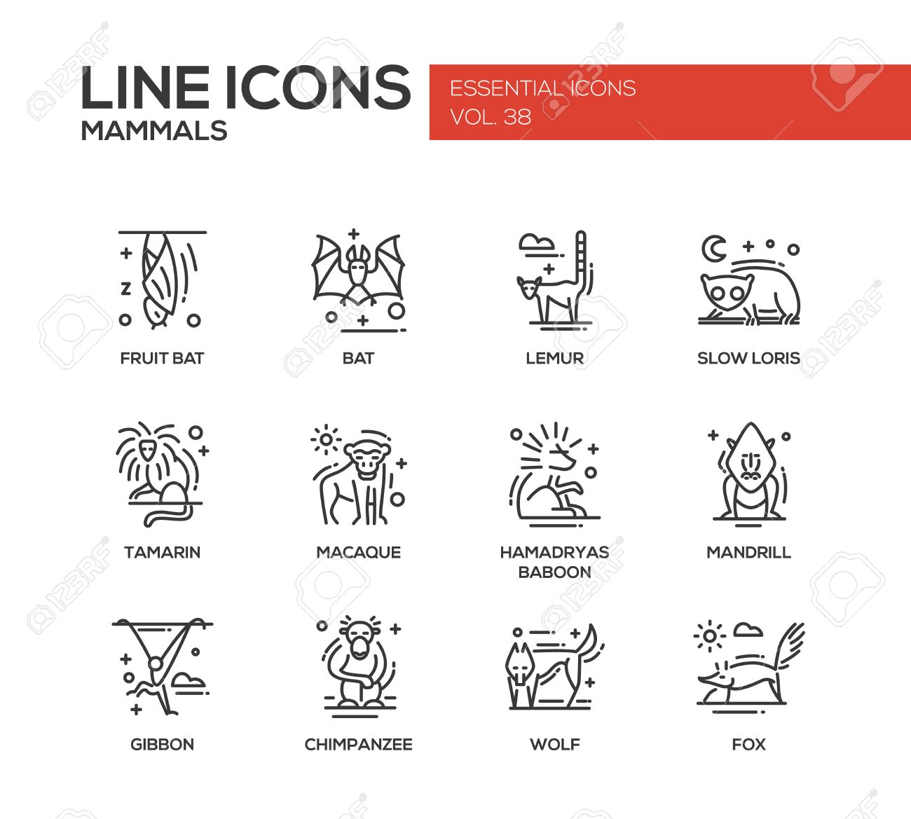 哺乳類 現代ベクトル線のデザイン アイコンと動物のピクトグラムのセットします バット キツネザル スローロリス タマリン サル マント ヒヒ マンドリル ギボン チンパンジー 狼狐 のイラスト素材 ベクタ Image