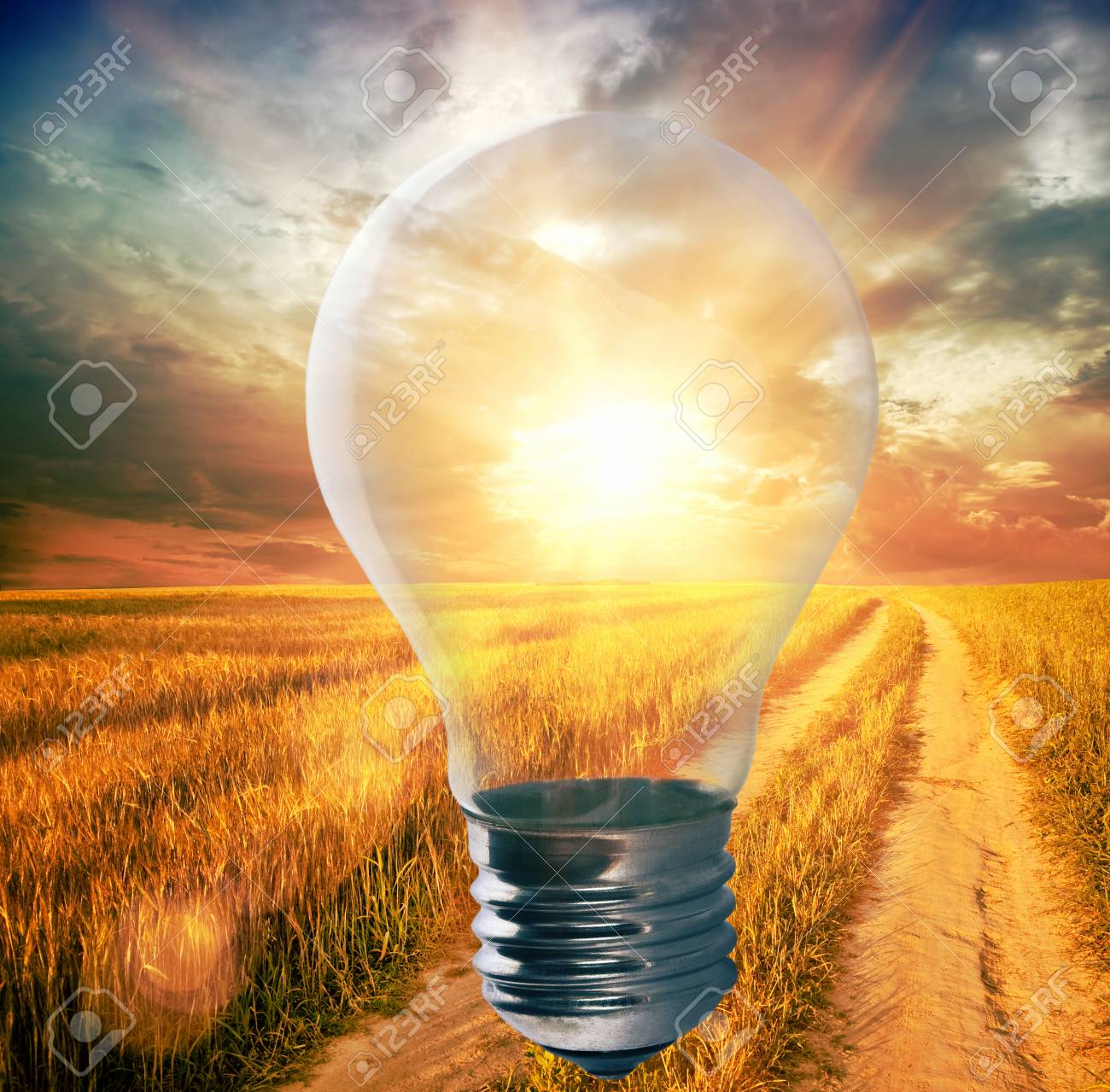 Light Bulb With A Sunshine Inside In Field Environment Eco - 