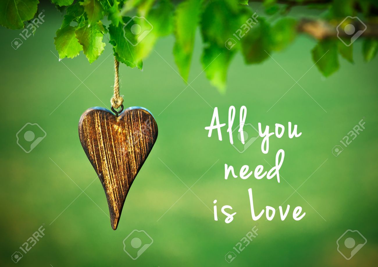 Tout Ce Que Vous Avez Besoin Est Amour Citation Inspiree Sur Fond Vert Naturel Avec Une Forme En Bois De C Ur Banque D Images Et Photos Libres De Droits Image Tout Ce Que Vous Avez Besoin Est Amour Citation Inspiree Sur Fond Vert Naturel Avec Une Forme En Bois De C Ur Banque D Images Et Photos Libres De Droits Image