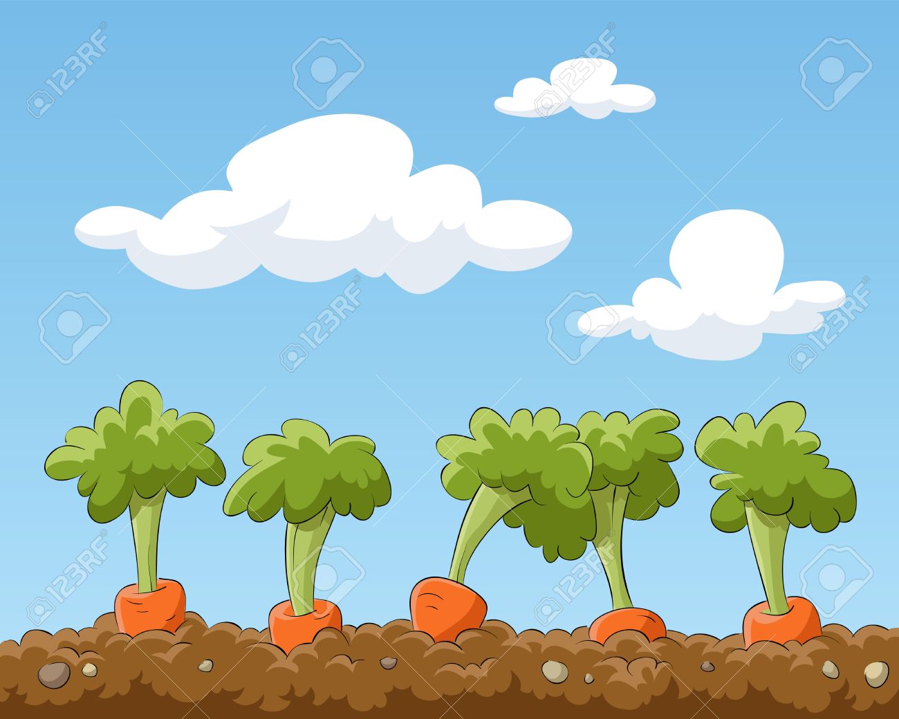 cartoon garden bed with carrots illustration royalty free cliparts