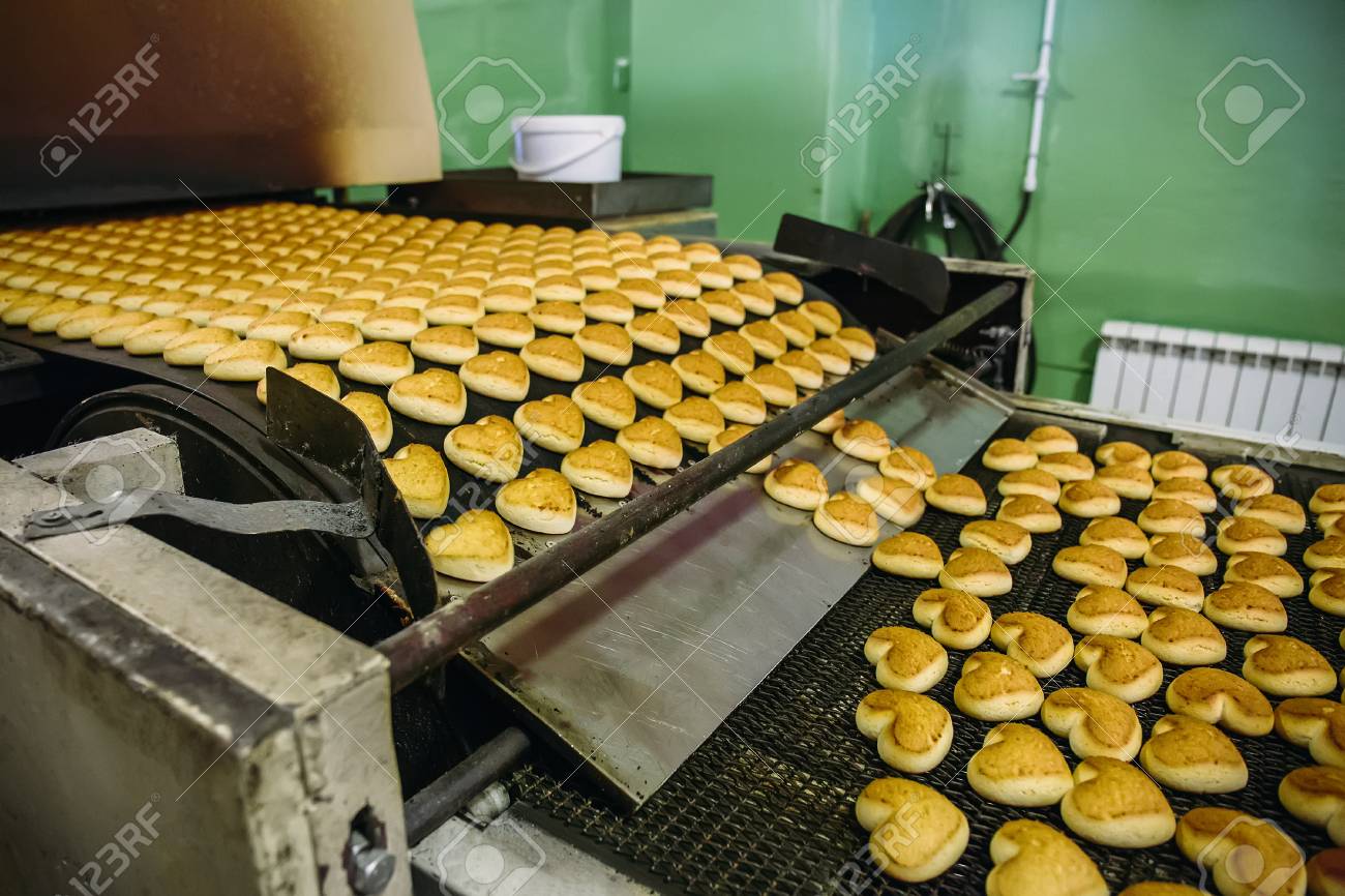 food plant machinery