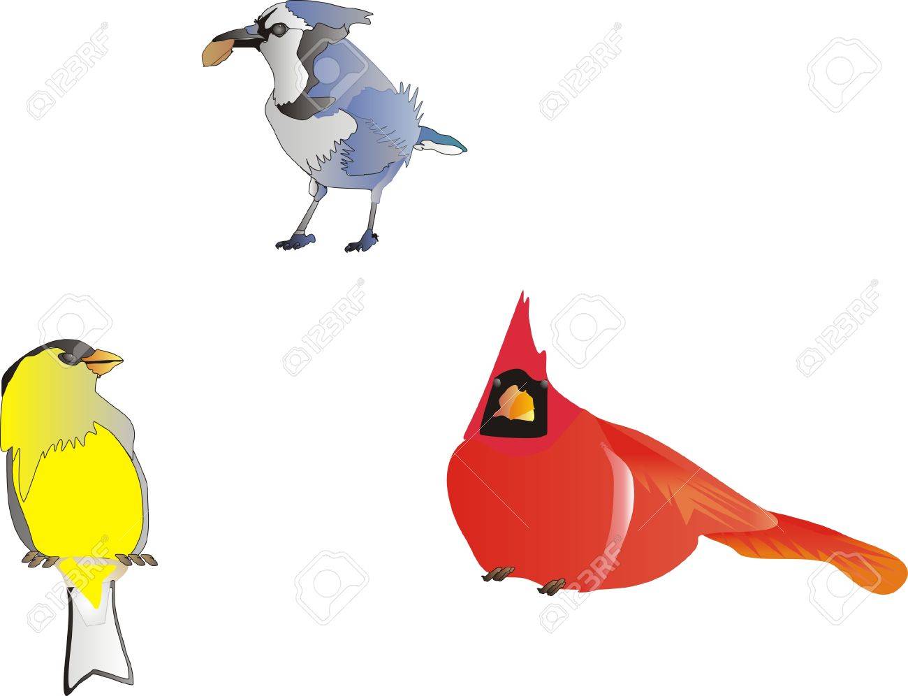 Blue Jay Goldfinch And Cardinal Clip Art Isolated Royalty Free Cliparts Vectors And Stock Illustration Image