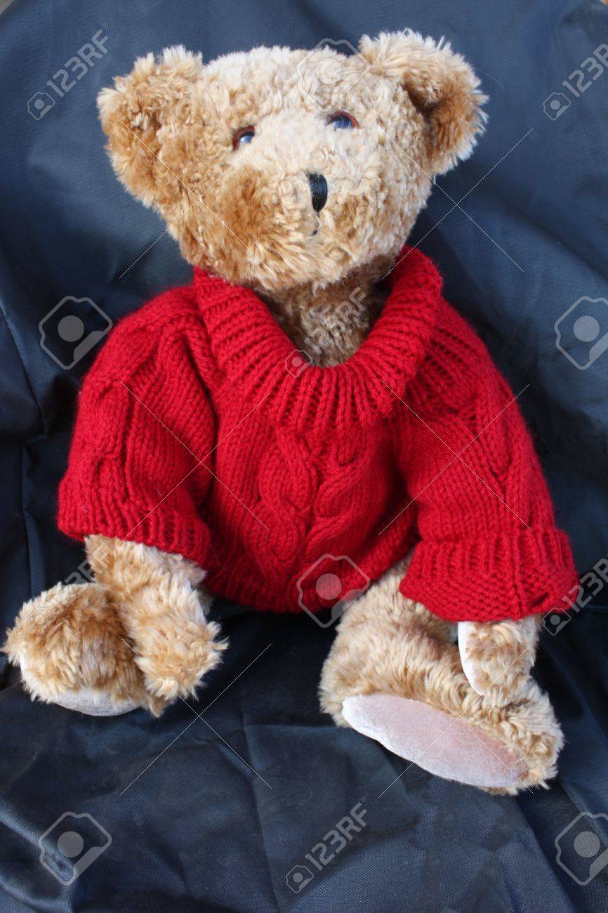 please teddy bear