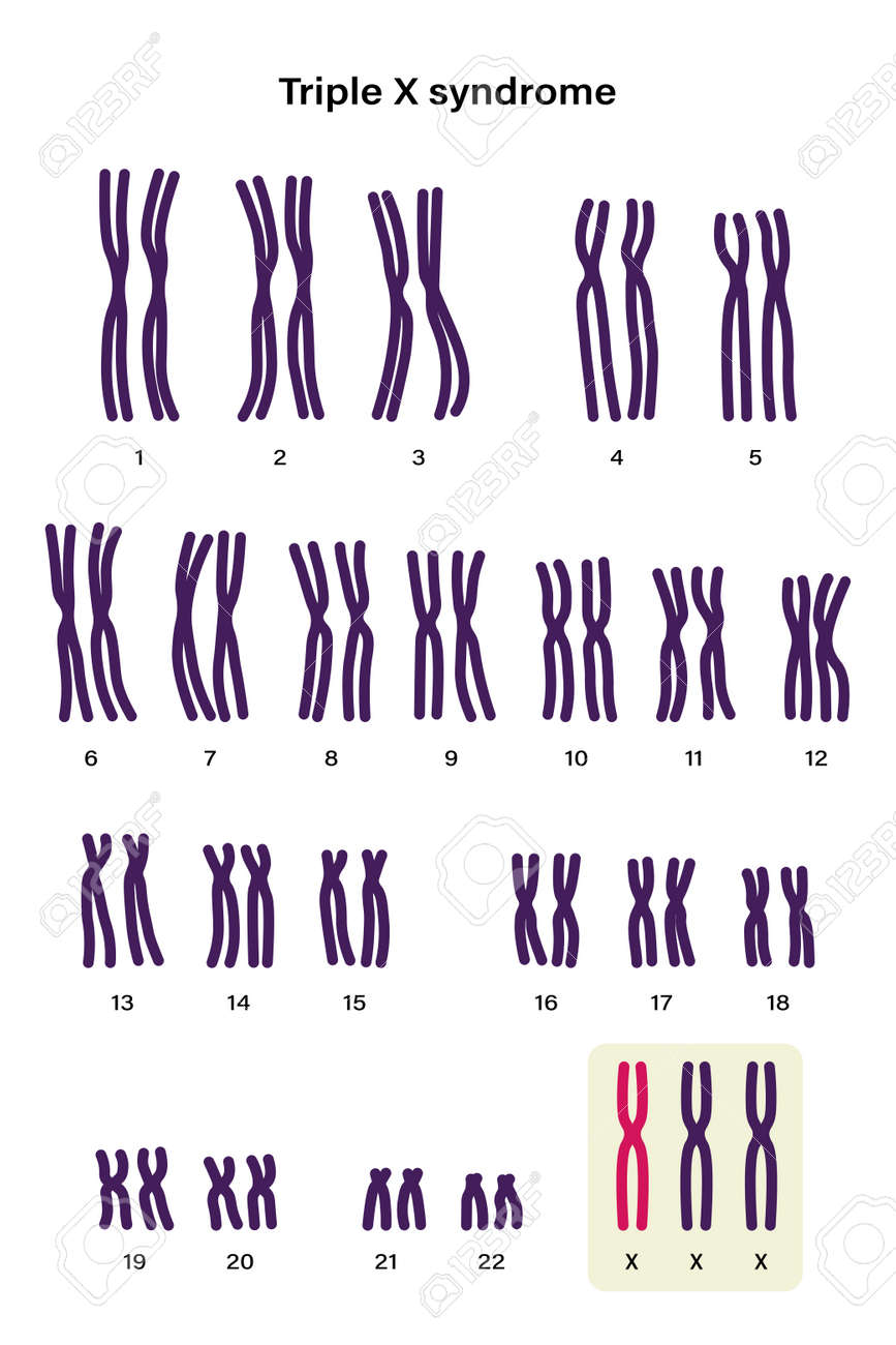 Порно 13  
