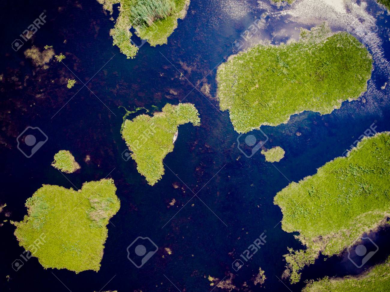 etiam-dictum-ipsum-a-felis