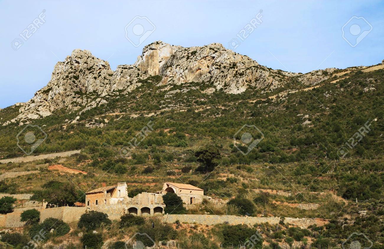 etiam-dictum-ipsum-a-felis