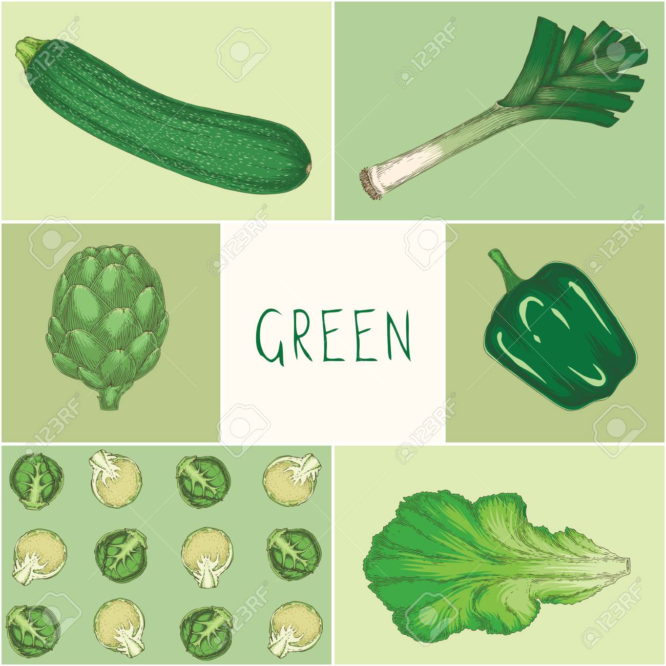 Juegos De La Educación De Los Verduras De Color Verde En La Tarjeta De La  Mano Dibuja La Ilustración Ilustraciones svg, vectoriales, clip art  vectorizado libre de derechos. Image 98122535, image size:1300x1300