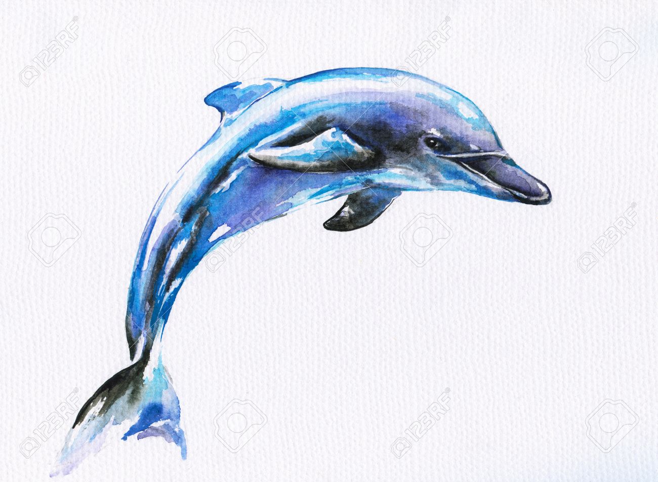 Sale 55 Off イルカ 絵 絵画 タペストリ Www Familyapplianceph Com