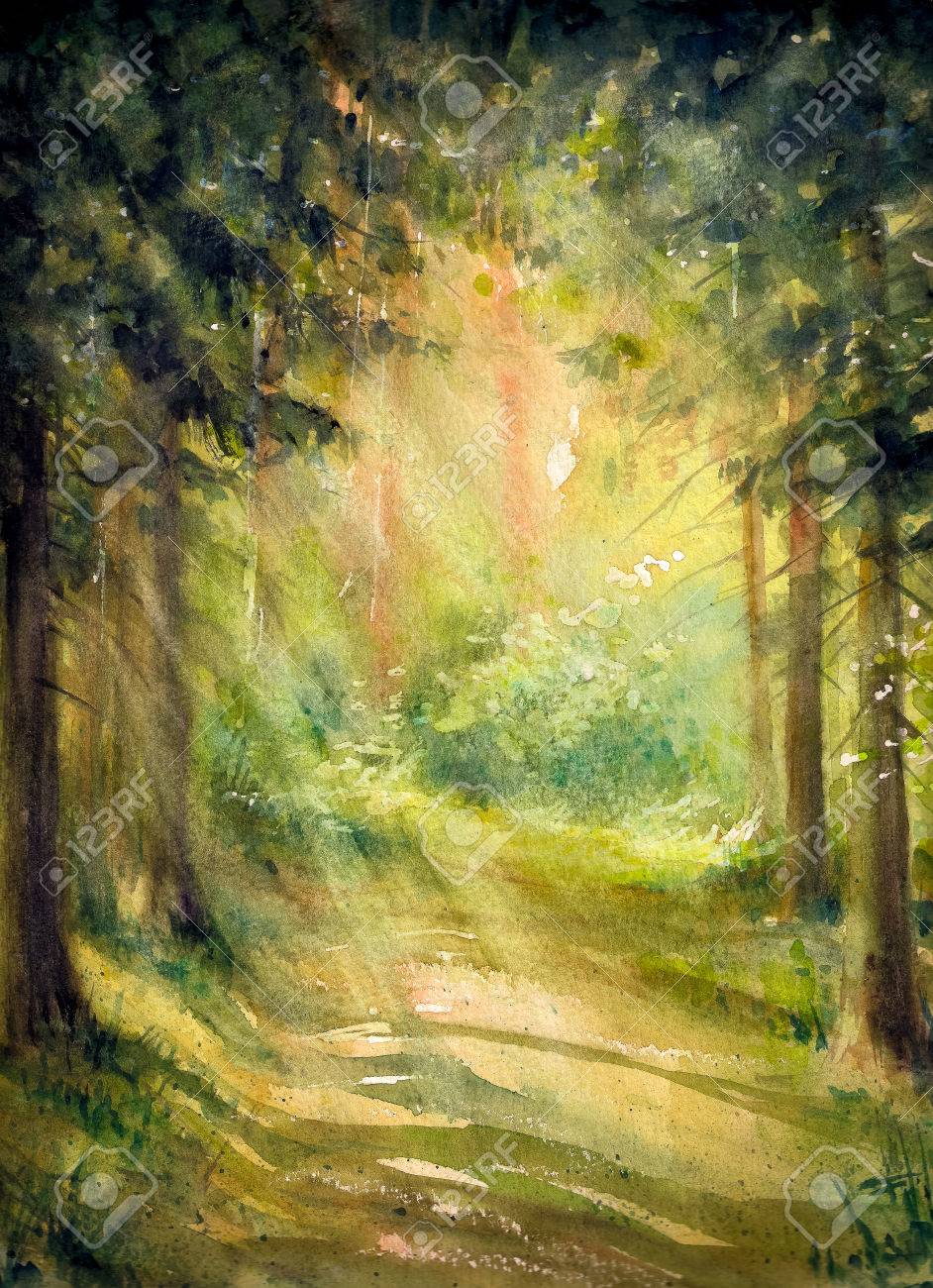 日当たりの良い夏の森。画像水彩絵の具で作成しました。の写真素材