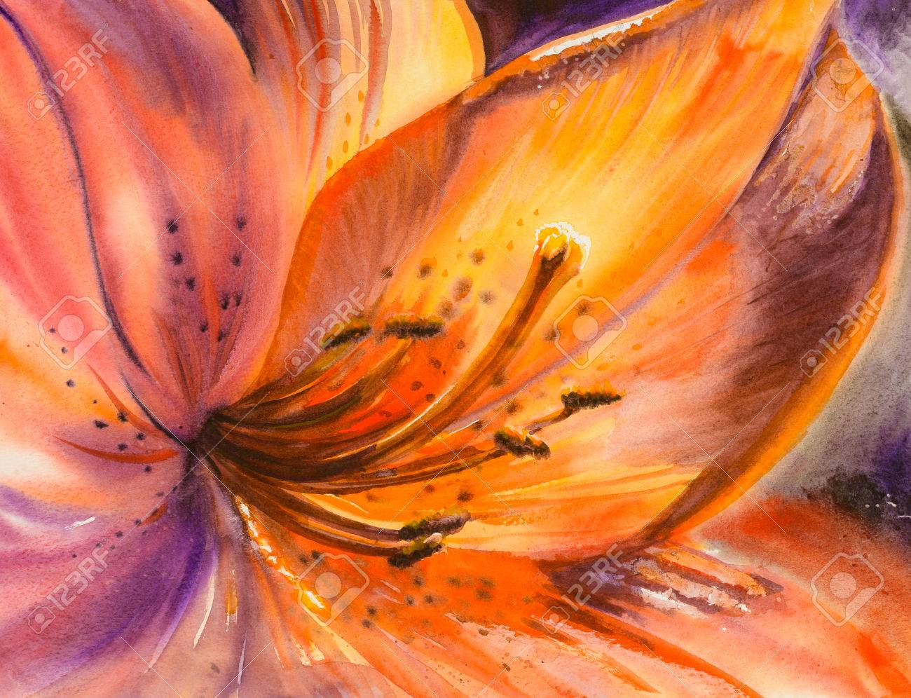 Closeup Of Orange Lily Flower Picture Created With Watercolors Stock Photo Picture And Royalty Free Image Image 56383178