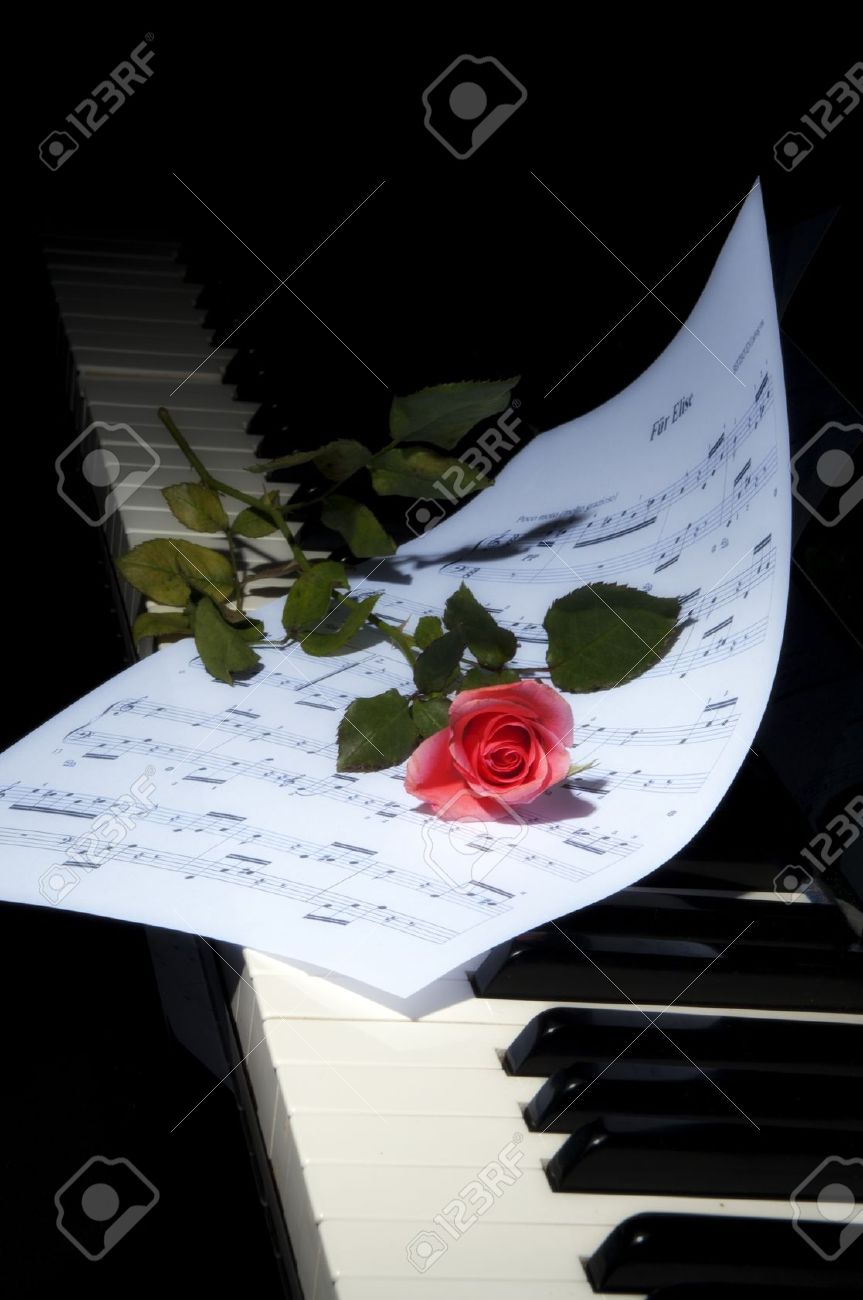 Sheet Music With Rose Piano Stock Photo Picture And Royalty Free Image Image 10411736