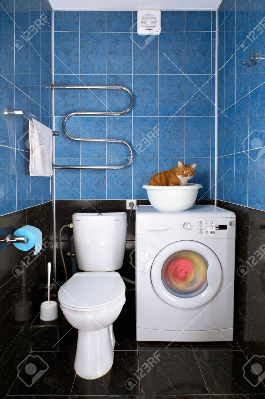Amusing Photo Of The Cat Sitting In A Basin In A Bathroom Stock Photo Picture And Royalty Free Image Image 3763378