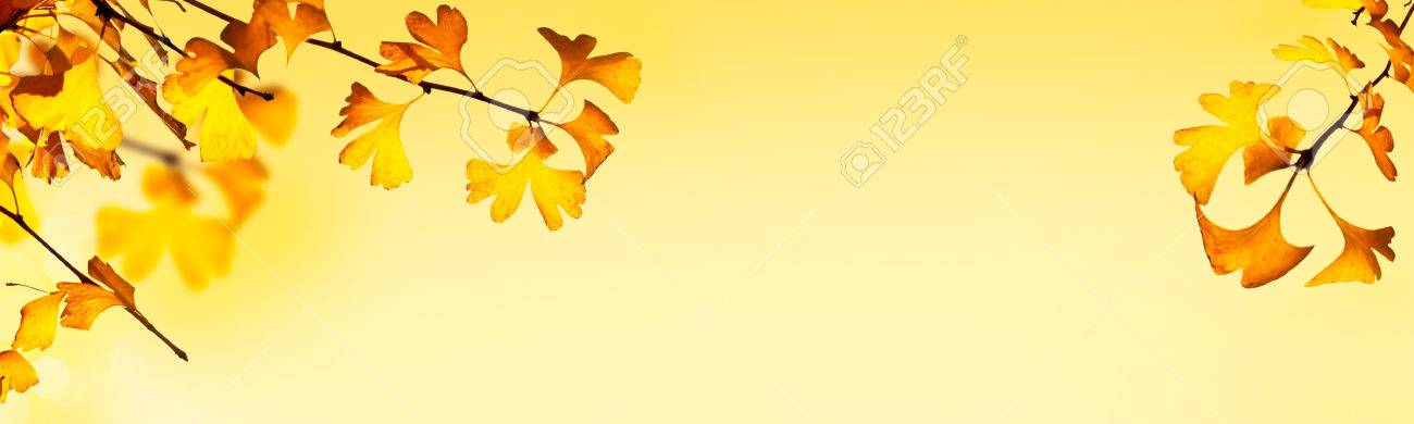 autumn header