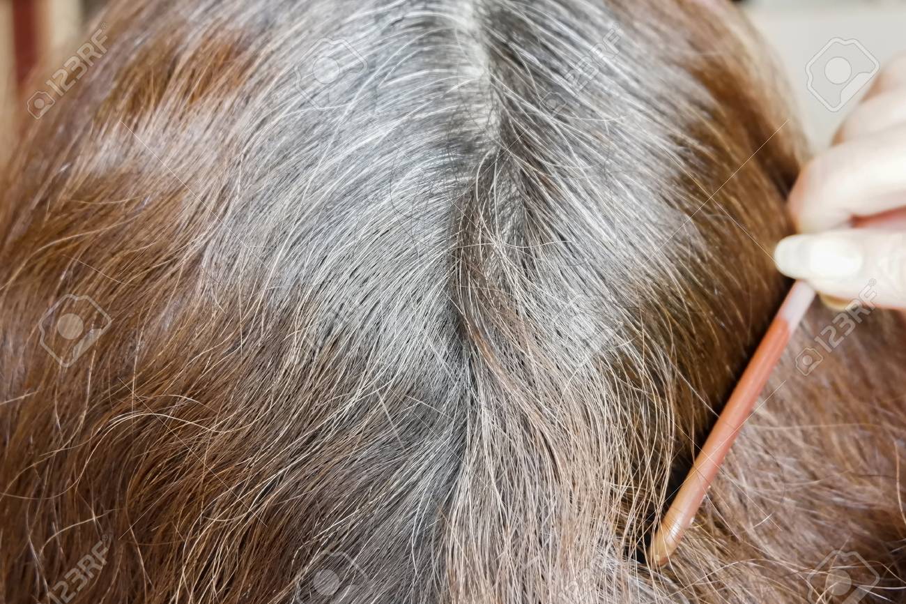 Going Gray Woman Shows Her Gray Hair Roots Close Up Stock Photo Picture And Royalty Free Image Image 95440691