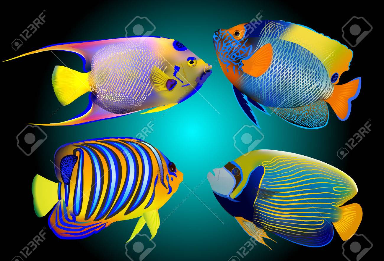 黒い背景に熱帯魚 のイラスト素材 ベクタ Image 4459