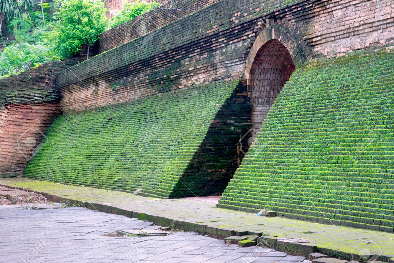 etiam-dictum-ipsum-a-felis