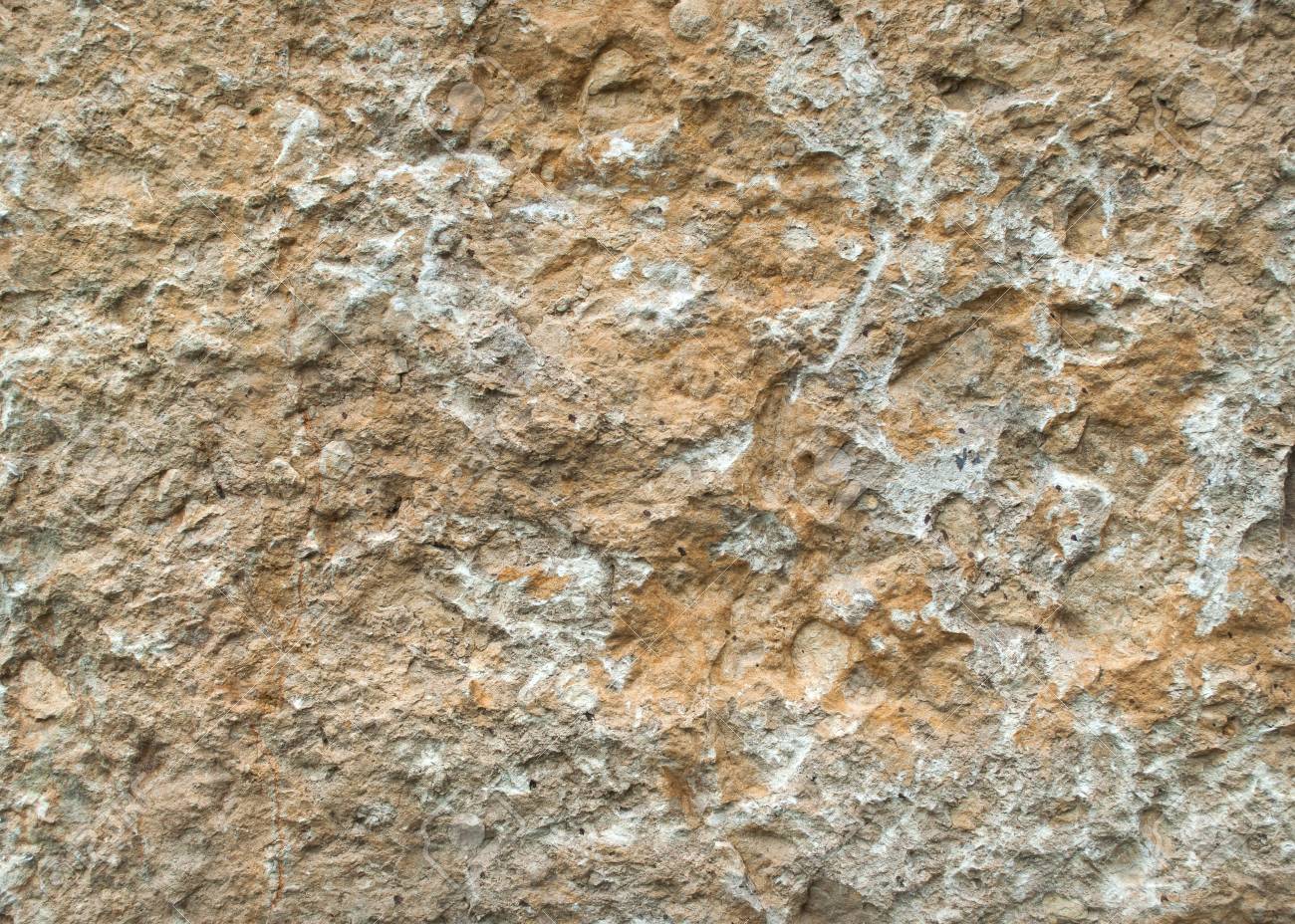 Natural Stone Slab Texture Lime Rock Stock Photo Picture And Royalty Free Image Image