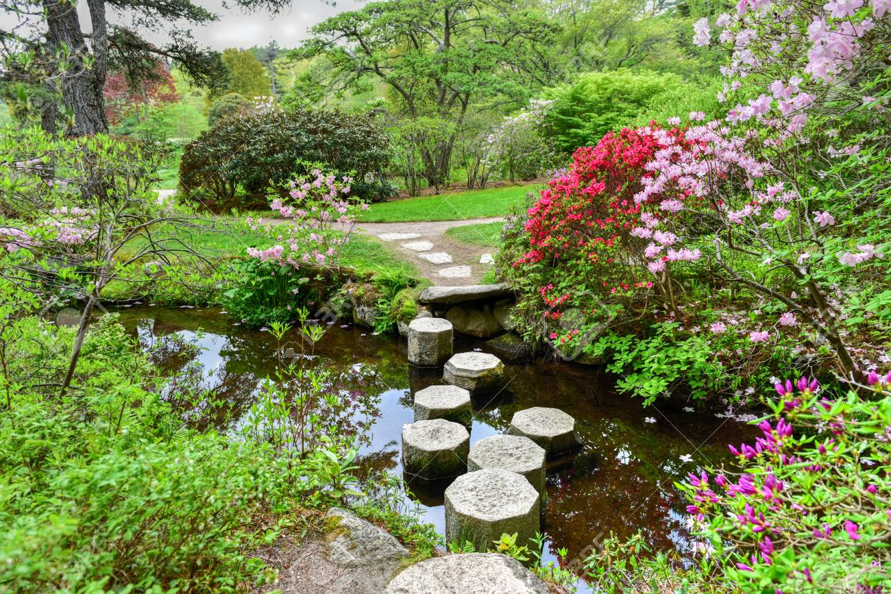 asticou azalea gardens in the japanese style in mount desert island maine stock photo - Asticou Azalea Garden asticou azalea gardens in the japanese style in mount desert island maine stock photo - Asticou Azalea Garden