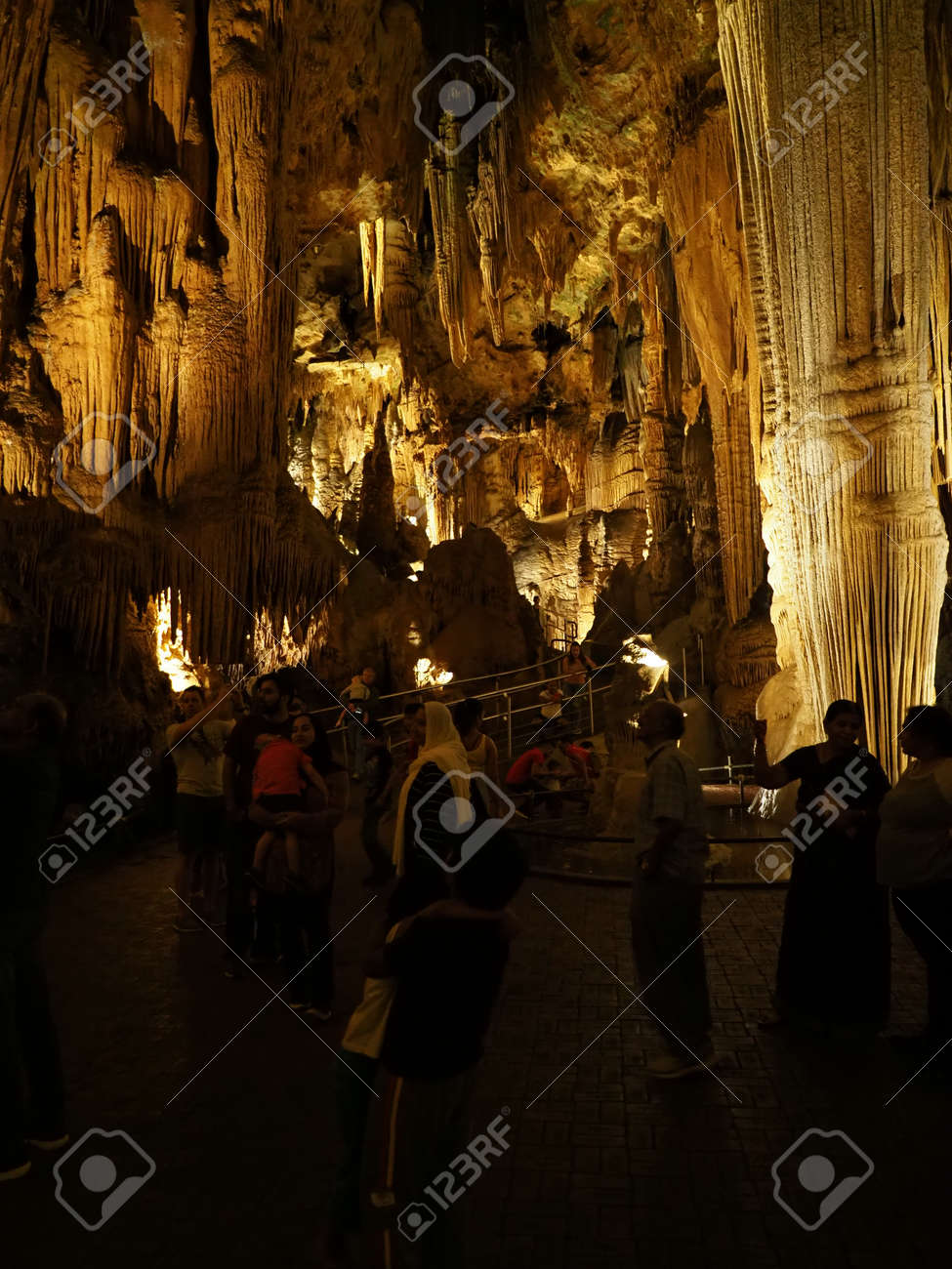 etiam-dictum-ipsum-a-felis