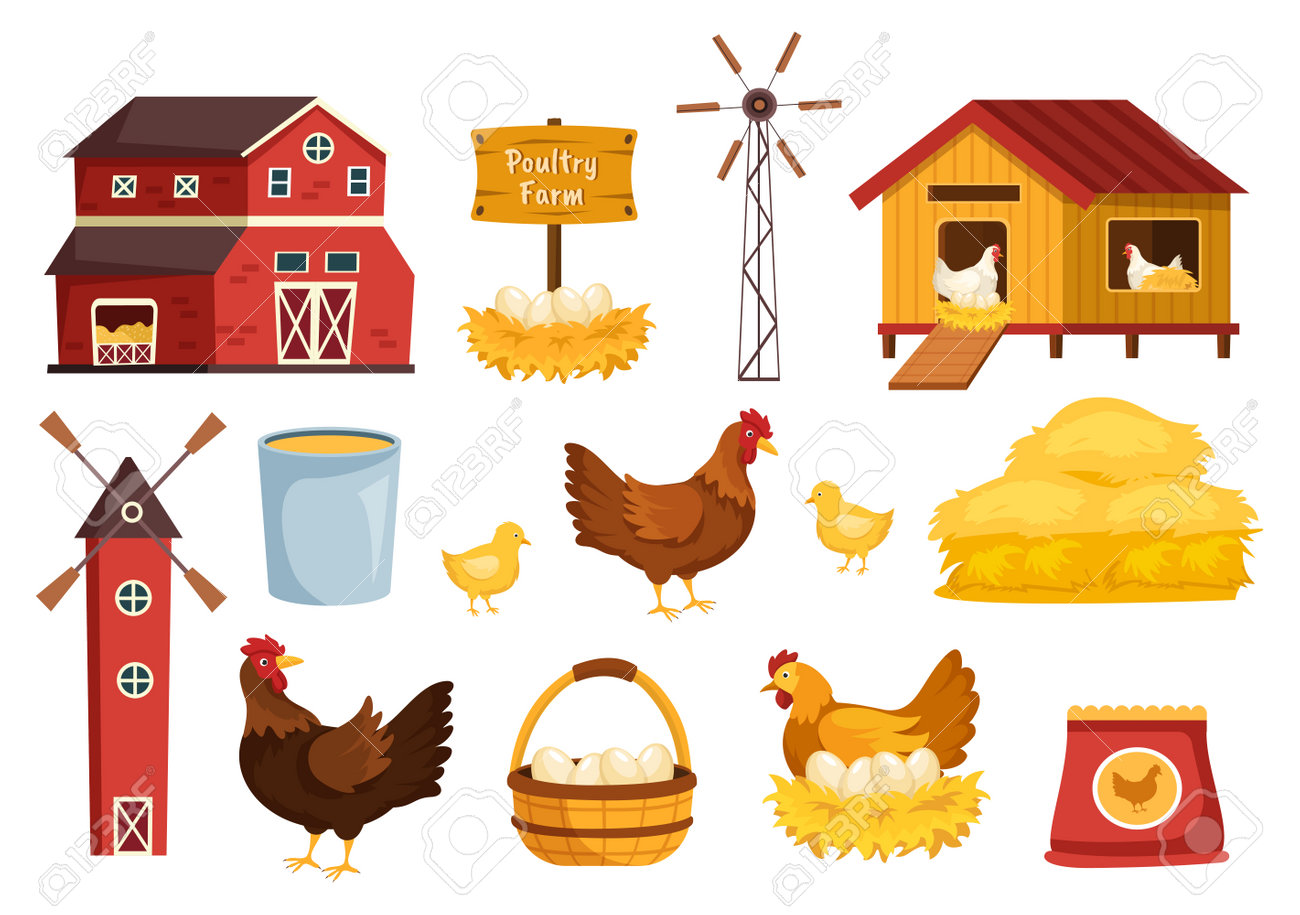 Poultry Farming With Farmer, Cage, Chicken And Egg Farm On Green Field  Background View In Hand Drawn Cute Cartoon Template Illustration Royalty  Free SVG, Cliparts, Vectors, and Stock Illustration. Image 199149951., image size:1300x915