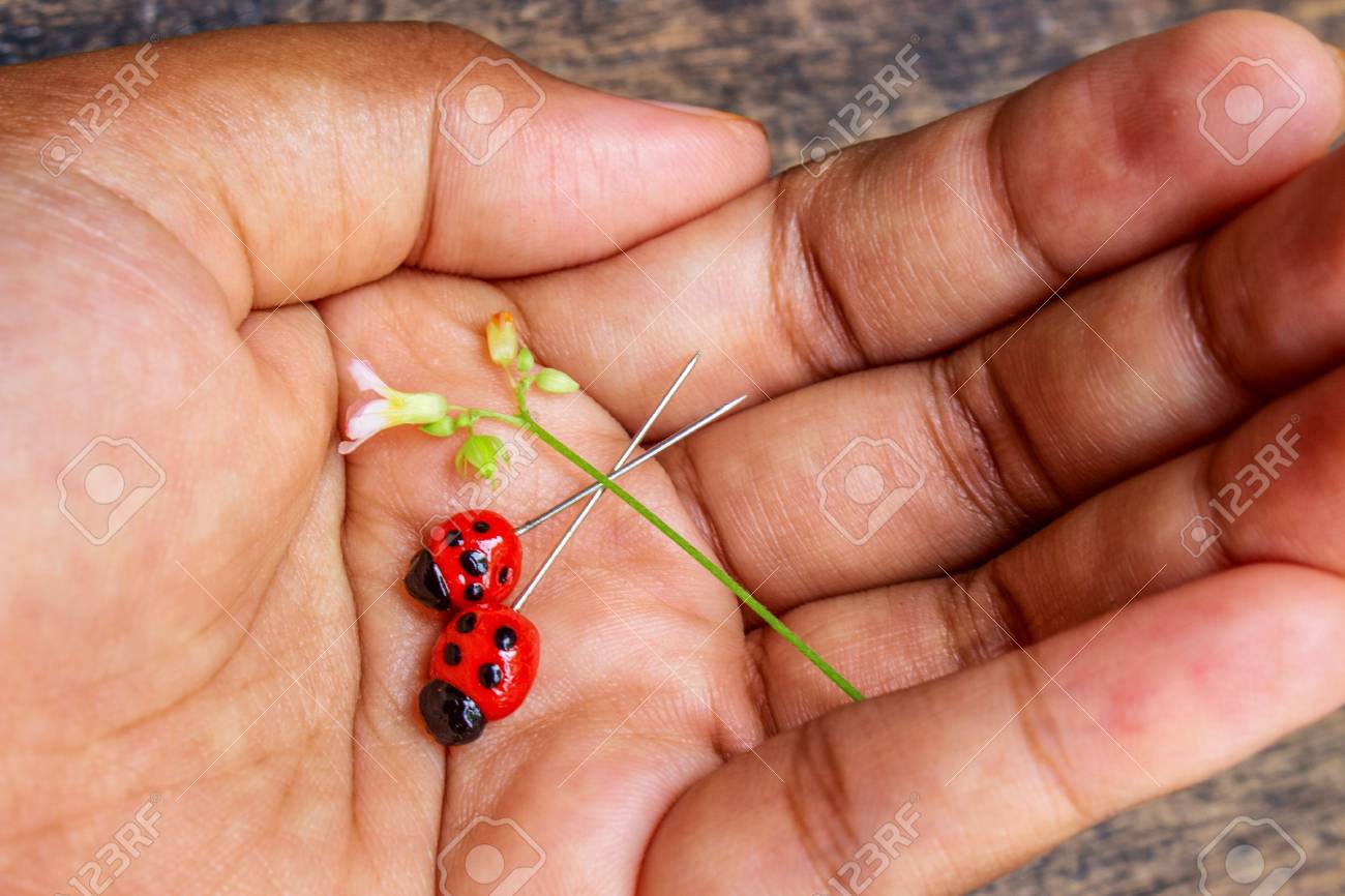 asian girl put lady bug clay pins and flower on hand with old asian pins