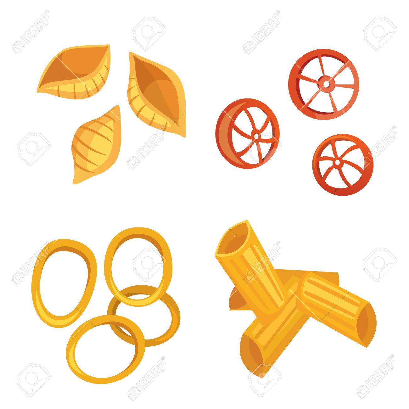 Different types macaroni and italian pasta Vector Image