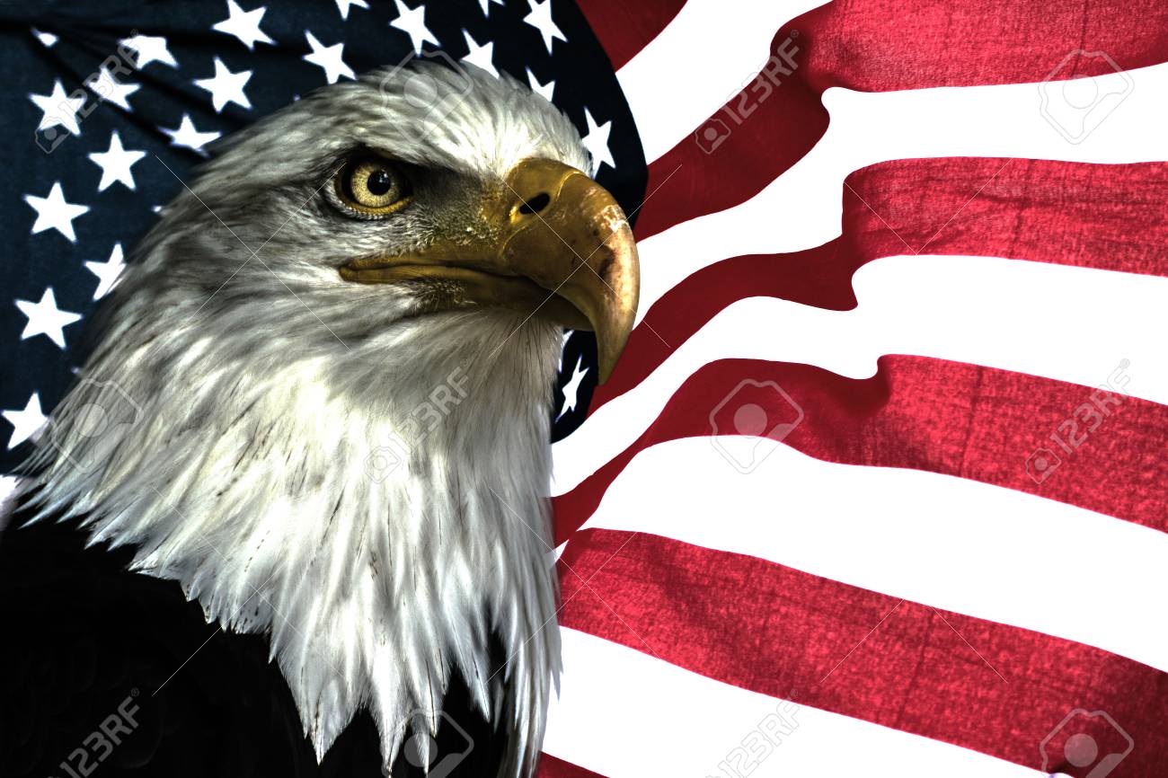 Aigle Americain Symbole National Pour Les Usa Aigle De L Est Sur Le Drapeau Americain Banque D Images Et Photos Libres De Droits Image