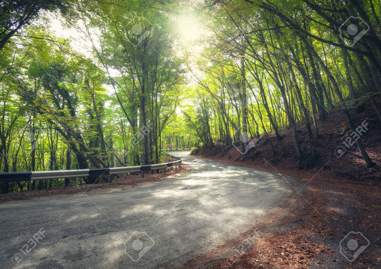 Erstaunliche Aussicht Mit Bunten Grunen Wald Mit Asphalt Bergstrasse Bei Sonnenuntergang Schone Landschaft Mit Leeren Strasse Baume Und Sonnenlicht Am Abend Im Sommer Reisehintergrund Natur Lizenzfreie Fotos Bilder Und Stock Fotografie Image