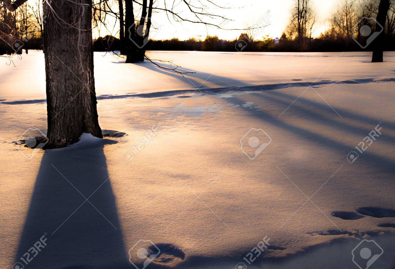 A Shadow on the Snow