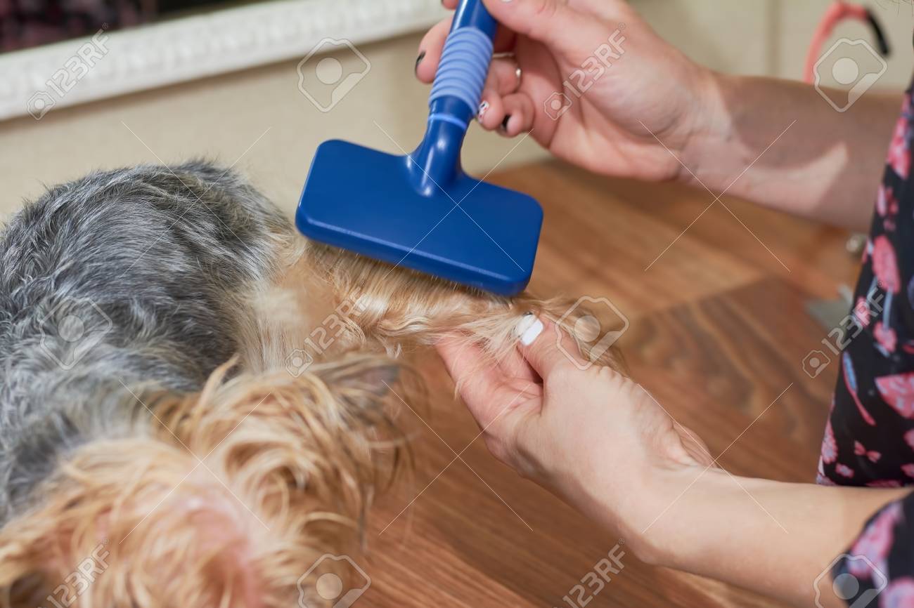 dog grooming slicker brush