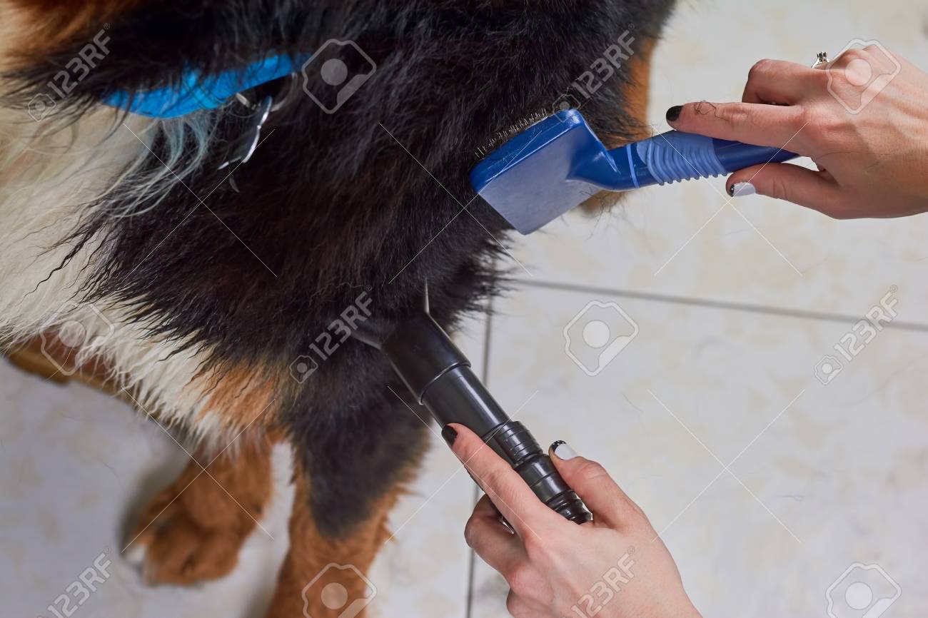 dog grooming slicker brush