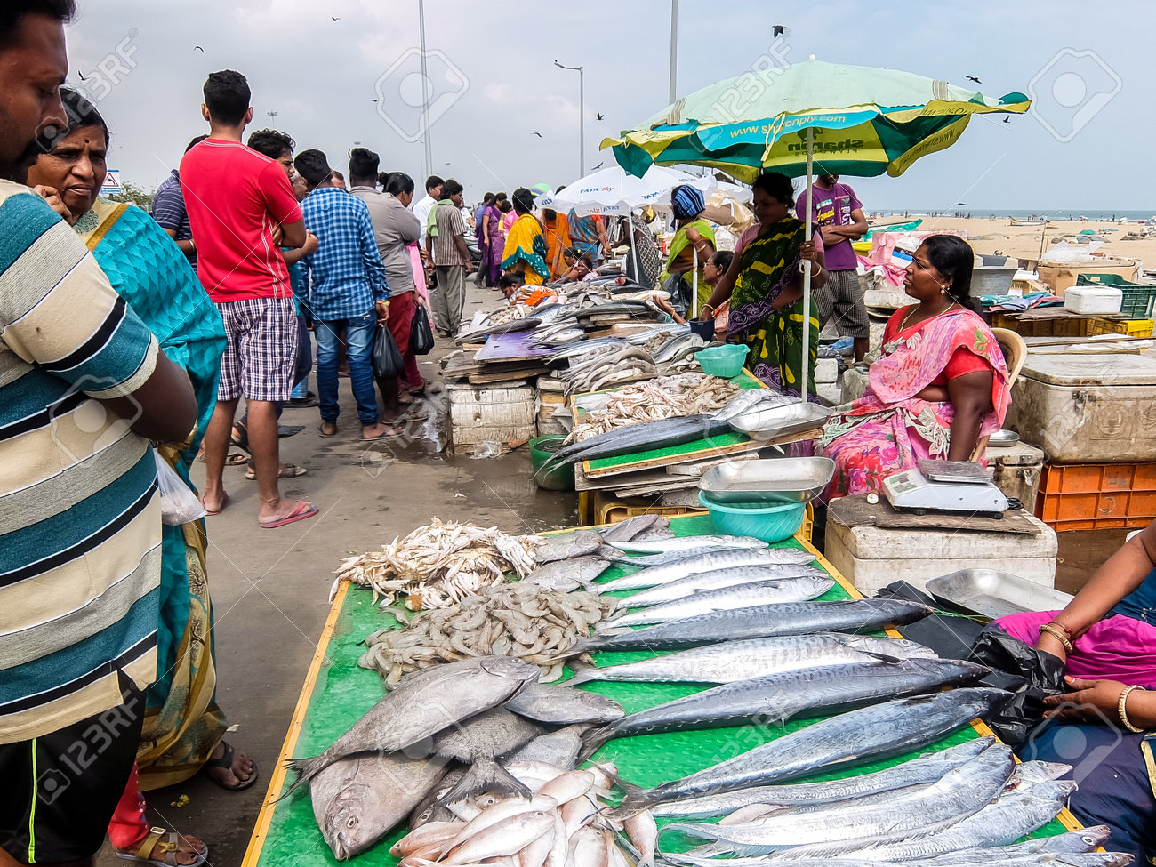 Chennai India December 24th 2017 Local Fish Market On The