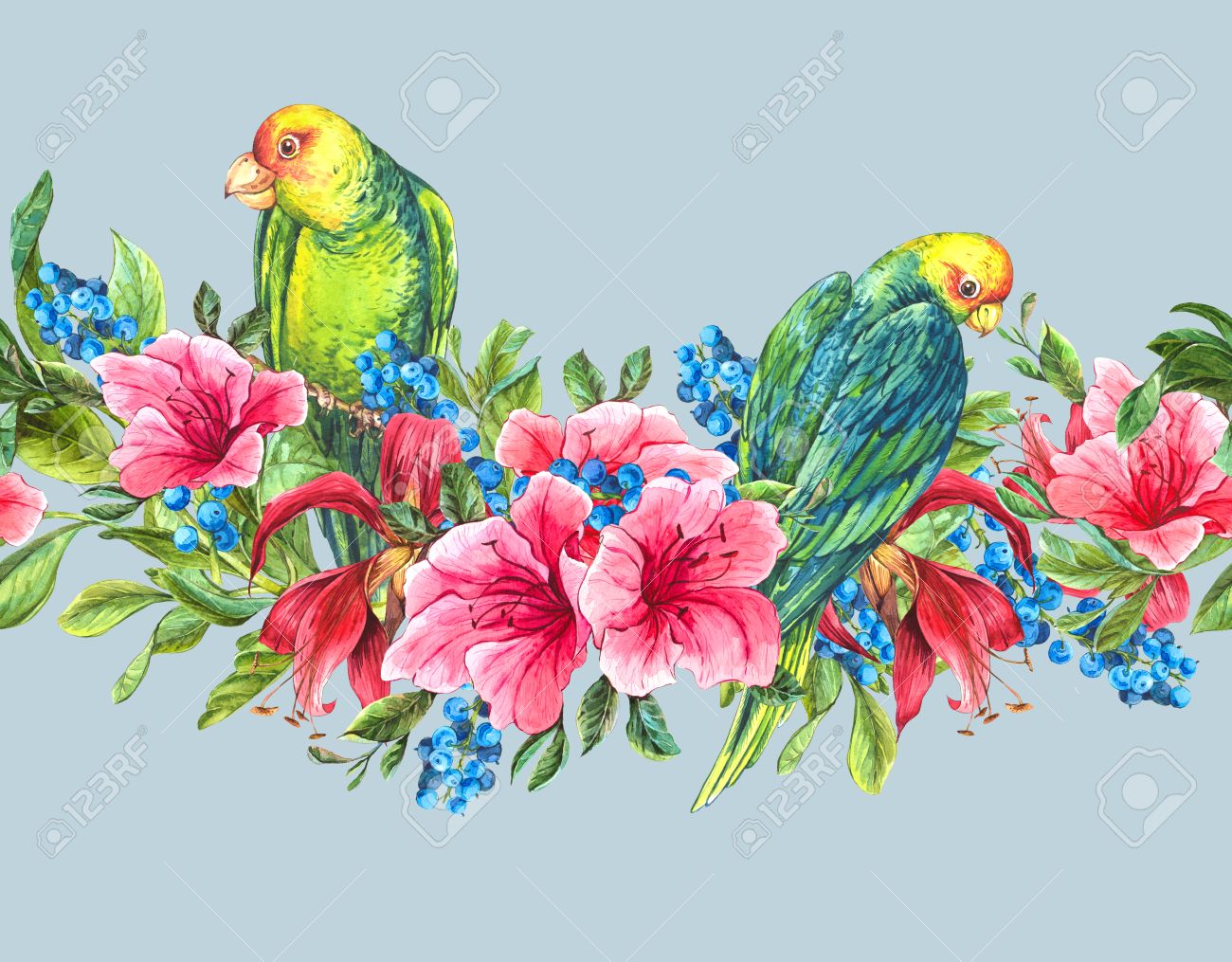 青い果実 ピンクの熱帯の花と緑のオウム 水彩イラストとエキゾチックな花柄シームレスな水彩境界線 の写真素材 画像素材 Image