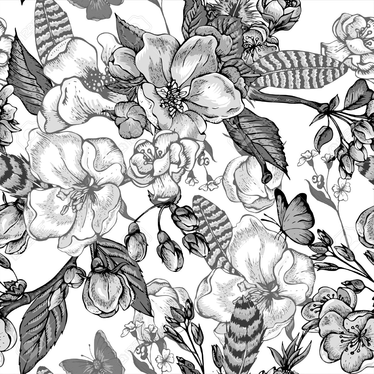 Download Black And White Vintage Garden Spring Seamless Pattern Flowers Royalty Free Cliparts Vectors And Stock Illustration Image 55448515