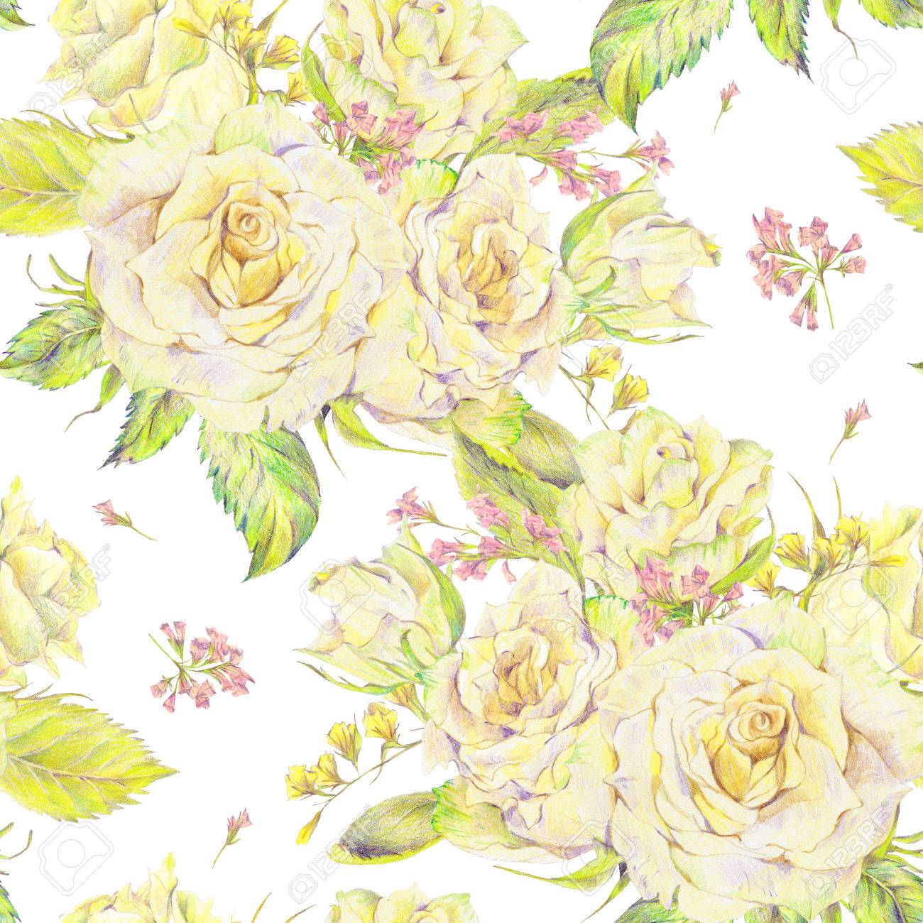 Floral dessinés à la main fond transparent avec bouquet de roses blanches et de fleurs sauvages, dessin au crayon floral illustration botanique