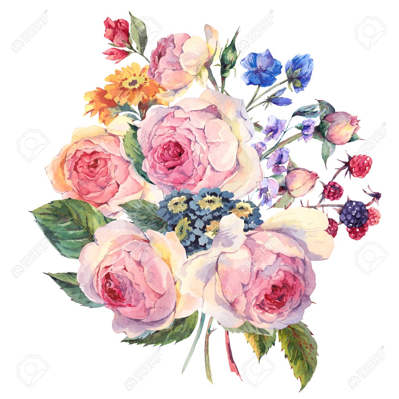 Millésime Classique Carte De Voeux Florale Aquarelle Bouquet De Roses Et De Fleurs Sauvages Anglais Botanique Illustration Aquarelle Naturelle Sur