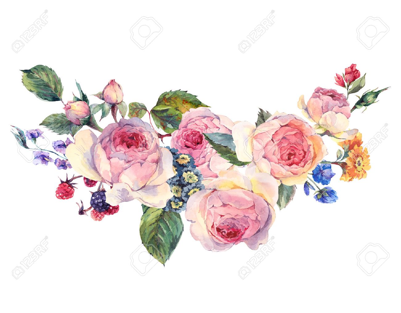 Classical vintage floral greeting card, watercolor bouquet of English roses and wildflowers, botanical natural watercolor illustration on white Background - 59797461 Classical vintage floral greeting card, watercolor bouquet of English roses and wildflowers, botanical natural watercolor illustration on white Background - 59797461