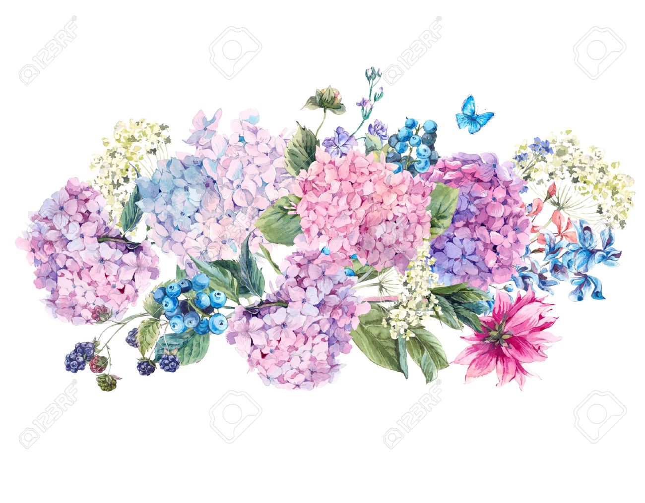 summer watercolor vintage floral
