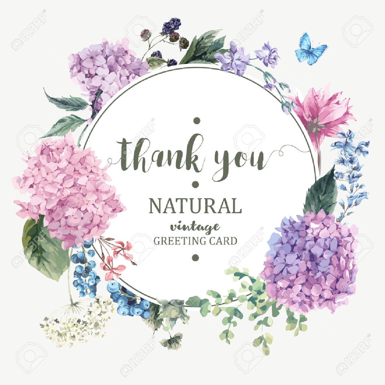Summer Vintage Floral Greeting Card with Blooming Hydrangea and garden flowers, Thank you botanical natural hydrangea Illustration on white in watercolor style. - 59810392 Summer Vintage Floral Greeting Card with Blooming Hydrangea and garden flowers, Thank you botanical natural hydrangea Illustration on white in watercolor style. - 59810392