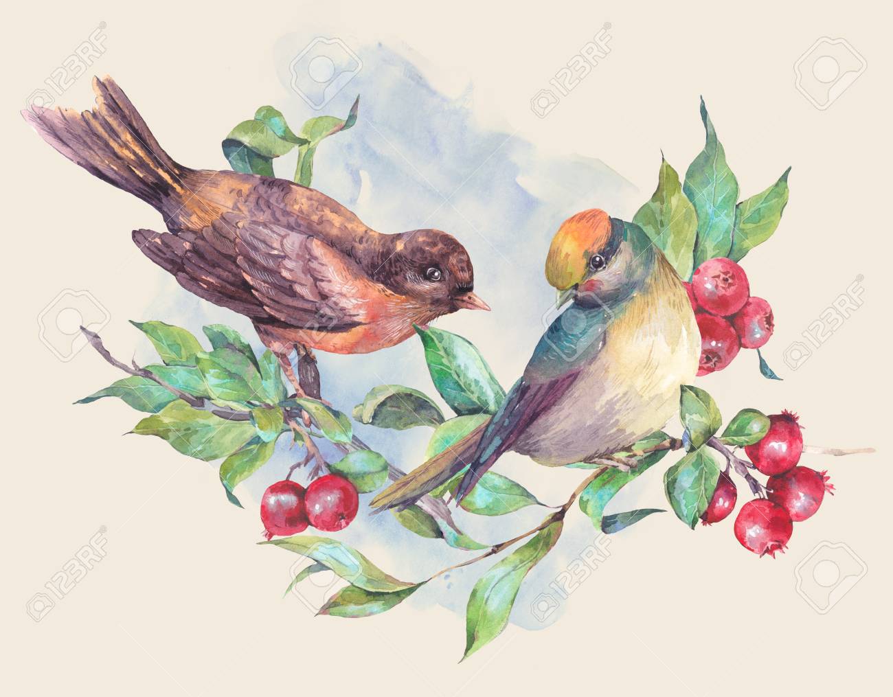 Vintage Dessin à La Main Carte Aquarelle Paire Doiseaux Sur Une Branche Avec Des Baies Rouges Illustration Daquarelle Naturelle