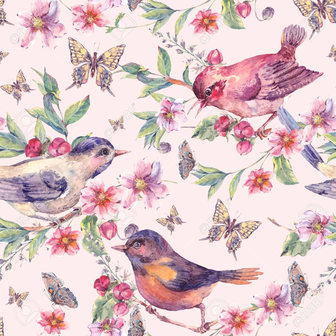 ビンテージ水彩花のシームレスな背景 優しいピンクの花 蝶 小枝 自然植物の水彩イラストと花をつけた枝上の鳥 の写真素材 画像素材 Image