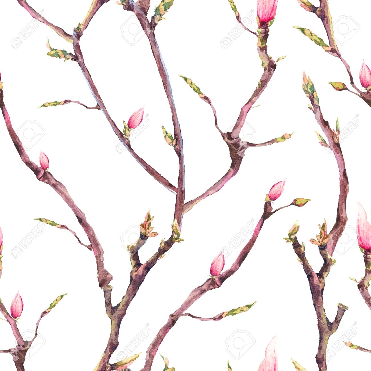 Watercolor Floral Spring Seamless Pattern Vintage Blooming Tree Stock Photo Picture And Royalty Free Image Image Watercolor Floral Spring Seamless Pattern Vintage Blooming Tree Stock Photo Picture And Royalty Free Image Image